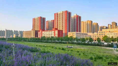电竞转会风云，老将加盟新战队